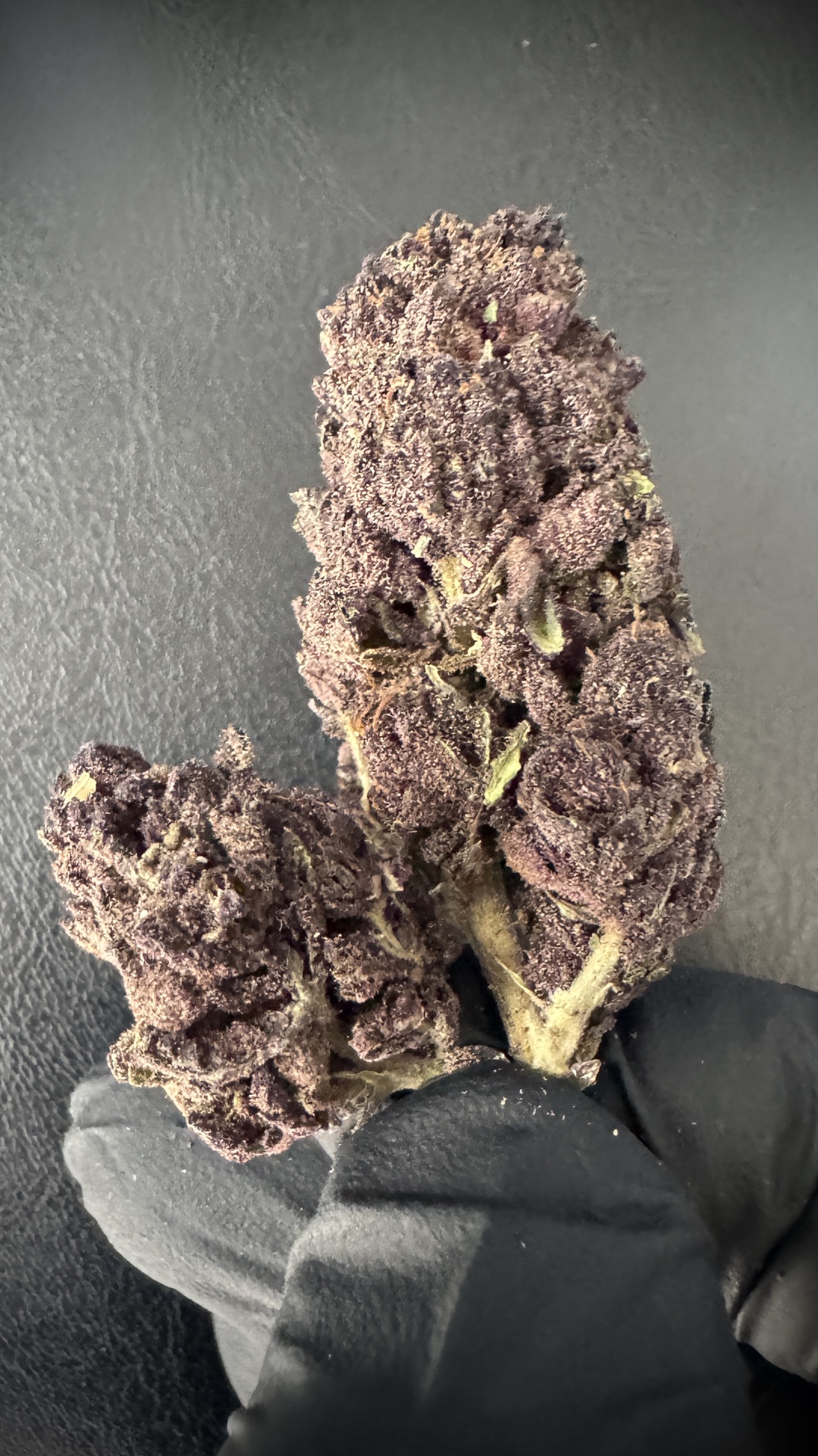Trop Cherry THCA $99 OZ's / Eighth